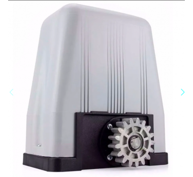 Motor DZ 4 SK 220V 1/3 HP Sem Cremalheira - ROSSI