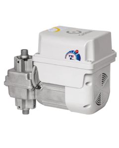 Motor Basculante Duo Tsi 1/4 HP Trif Sem Acionamento F01587-GCT - Garen
