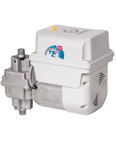 Motor Bv Tsi Fit 1/3 Hp Bivolt S/Acionamento - Garen